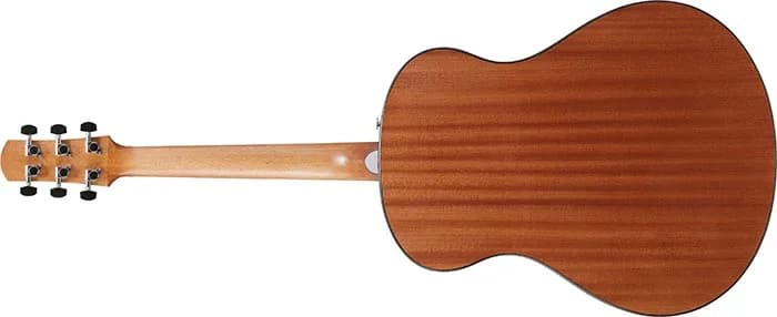 Ibanez AAM50 — photo 5