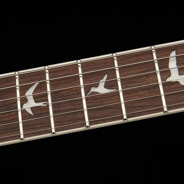 PRS SE Zach Myers — photo 8