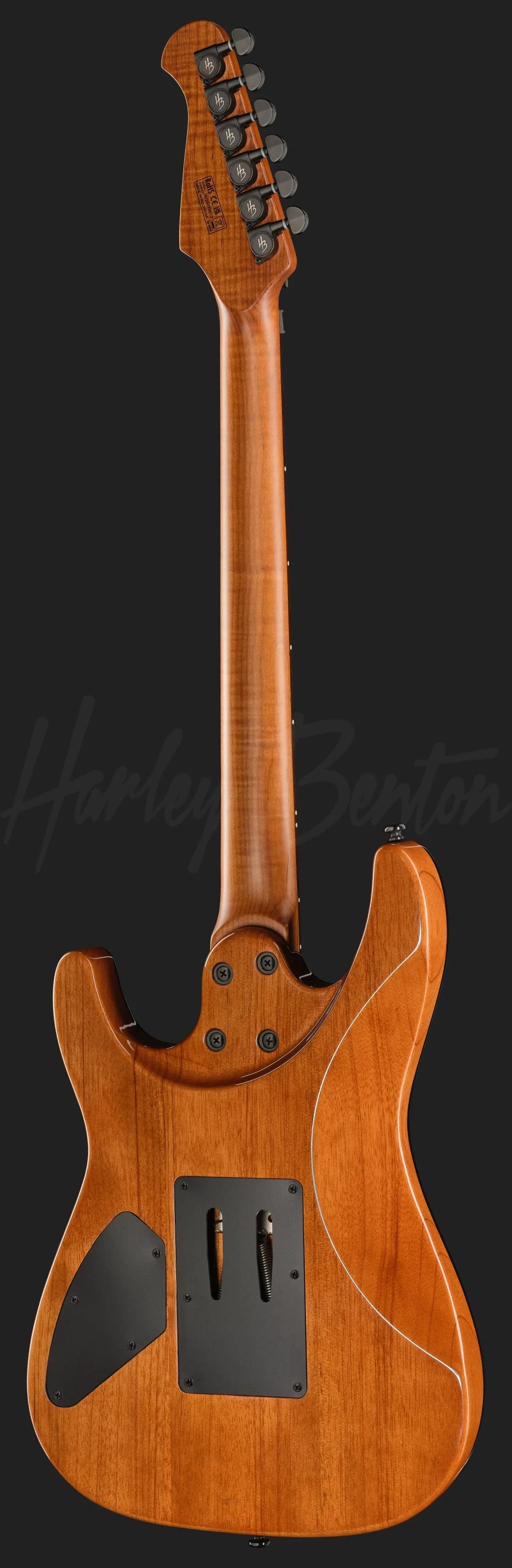 Harley Benton Fusion-IV HH RW FR WM — photo 3