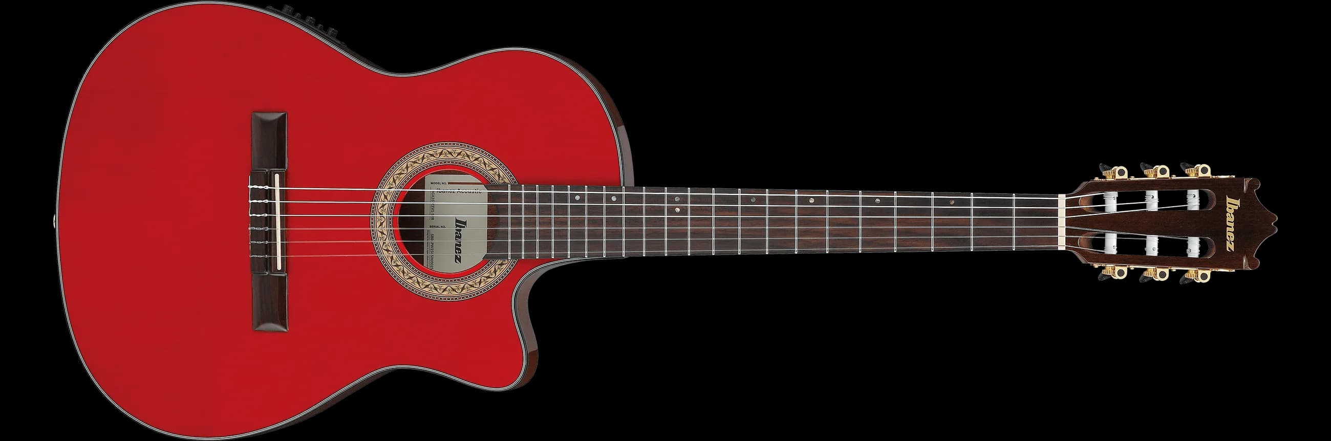 Ibanez GA35TCE — photo 3