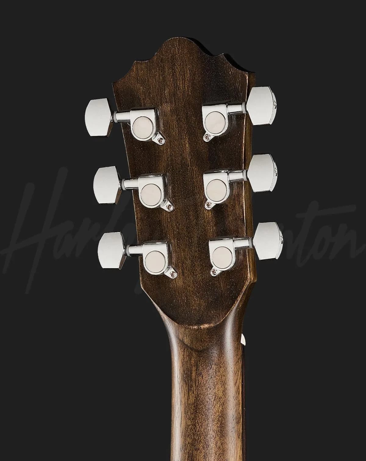 Harley Benton Delta Blues DCE — photo 5