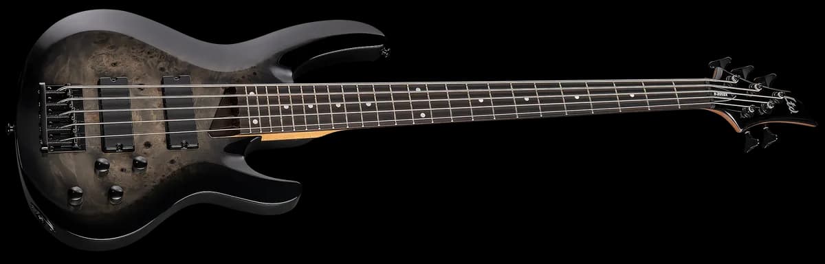 ESP B-205DX Black Burst — photo 3