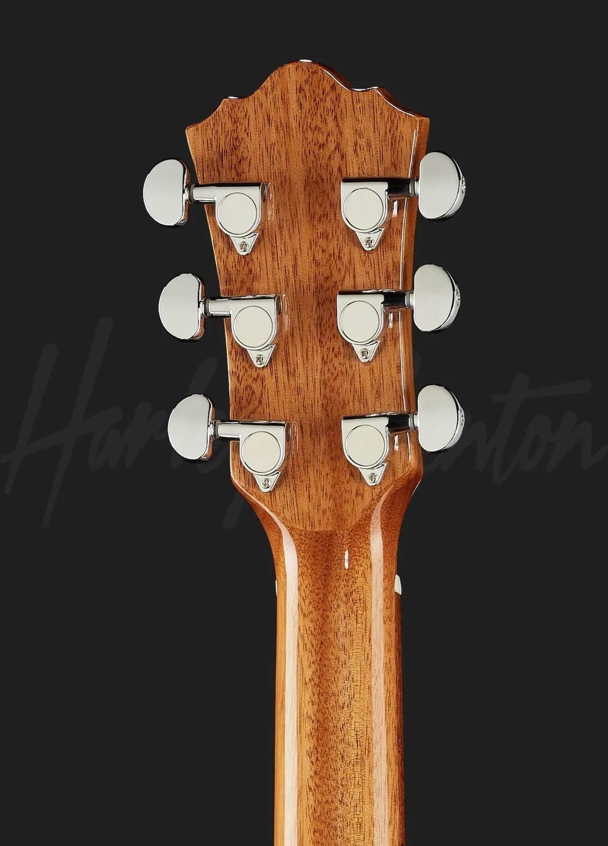 Harley Benton CLG-650SM-CE VS SolidWood — photo 7