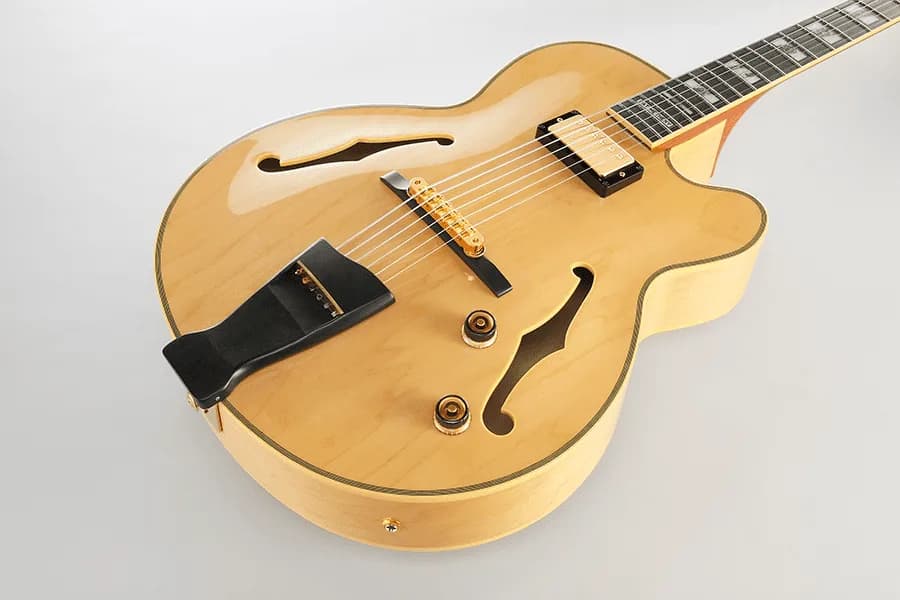 Ibanez PM200 — photo 2