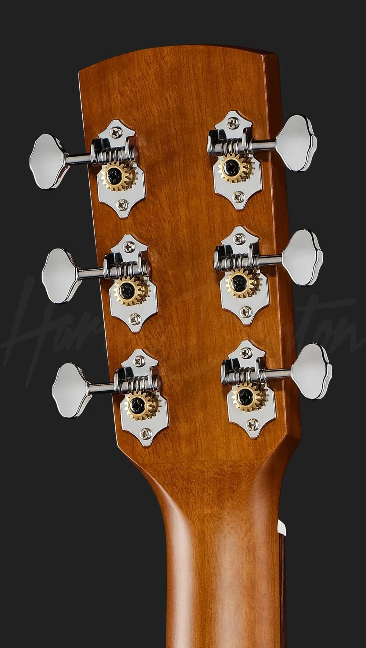 Harley Benton CLD-65AE NT — photo 6