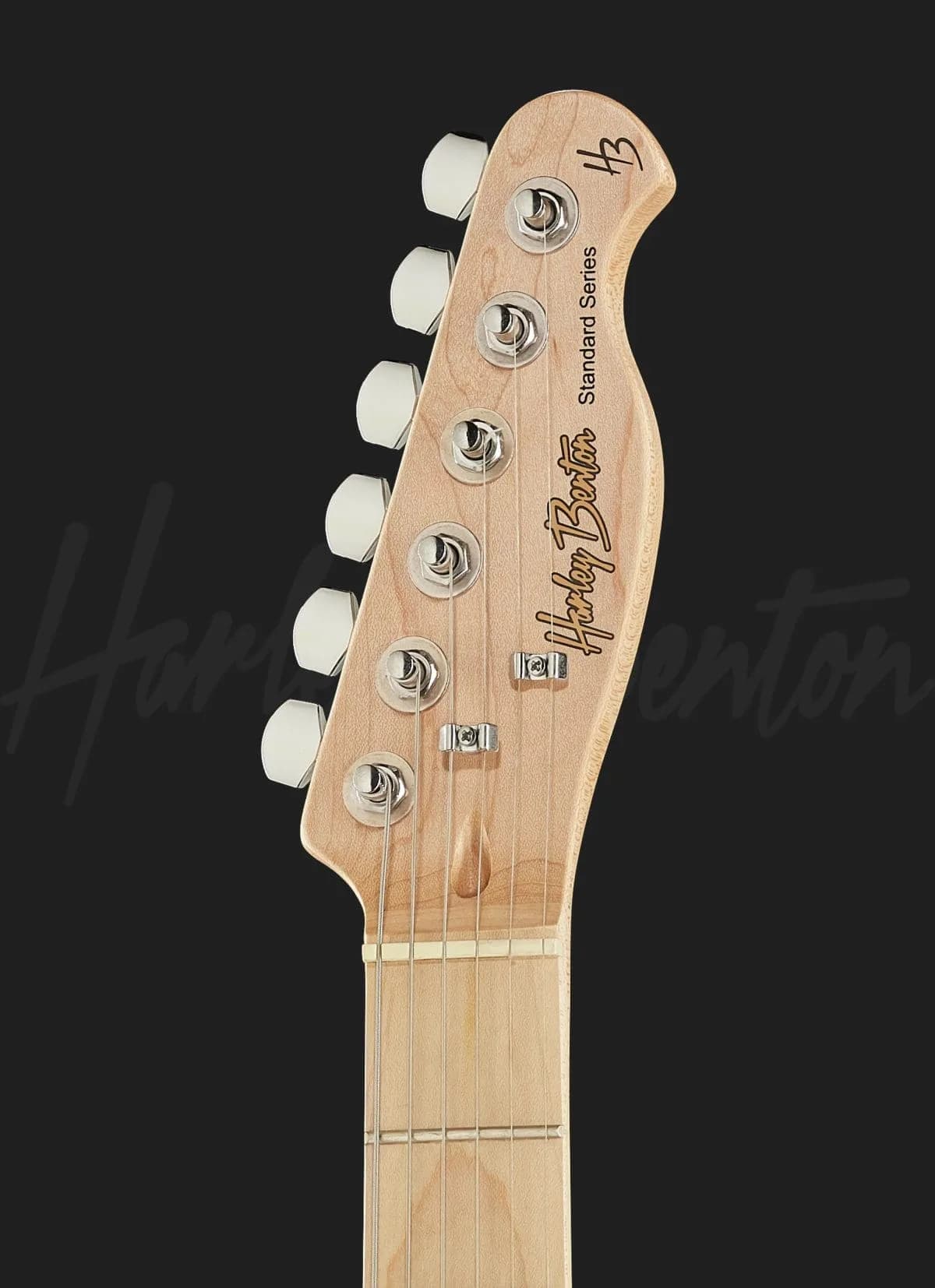 Harley Benton TE-20MN BM — photo 6