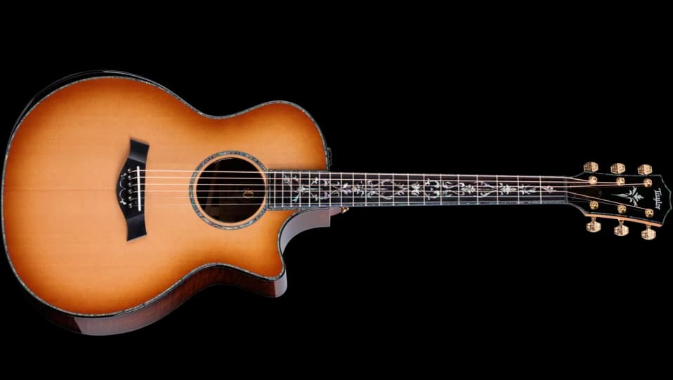 Taylor 50th Anniversary PS14ce LTD &amp; Circa 74 Amp