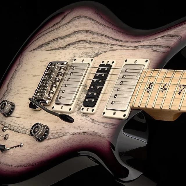 PRS Swamp Ash Special Maple — photo 3