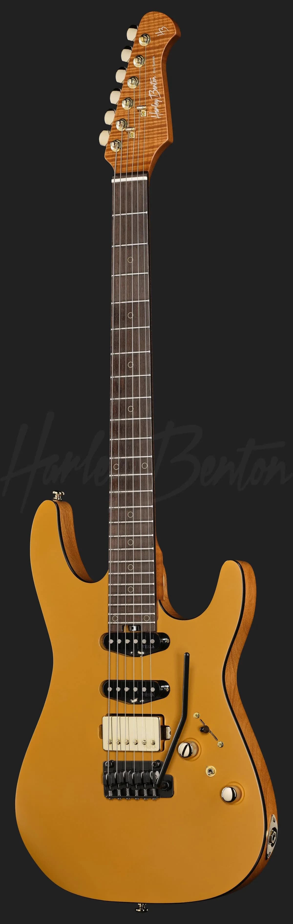 Harley Benton Fusion-IV HSS RW SGD — photo 2