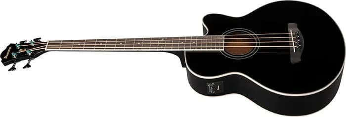Ibanez AEB8E — photo 4