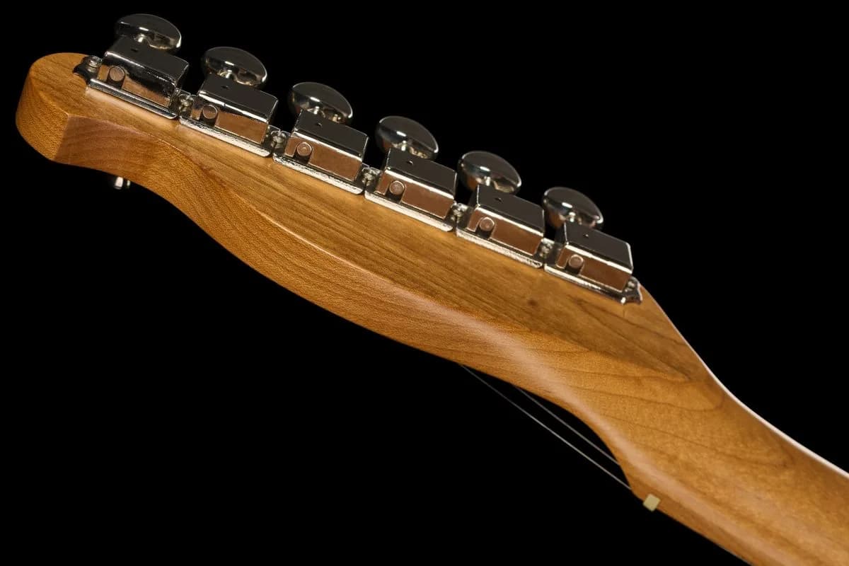 Harley Benton TE-62CC SP — photo 6