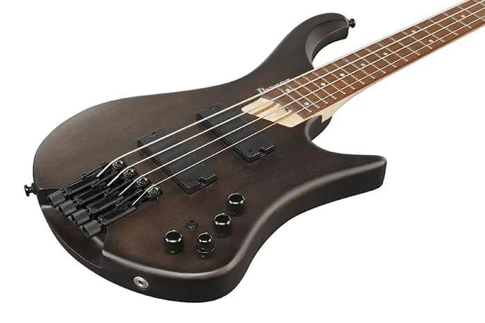 Ibanez EHB600 — photo 4