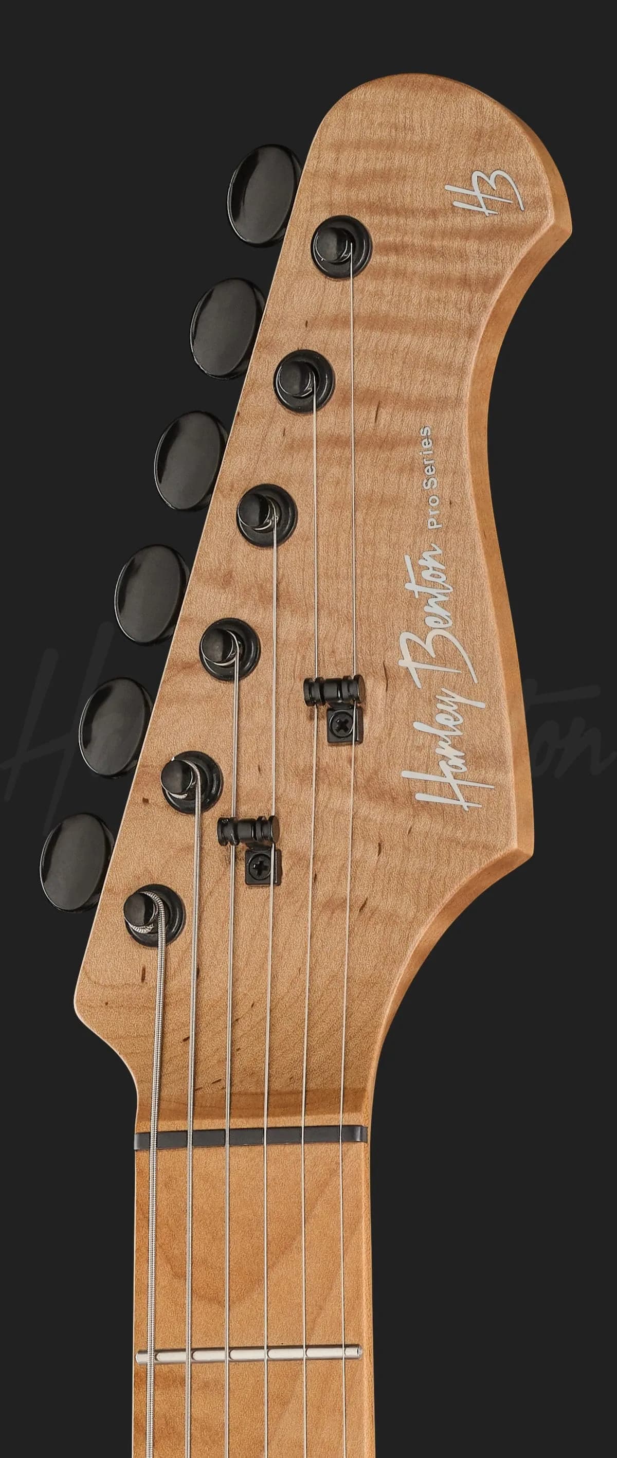 Harley Benton ST-Modern Plus MN HSS SBK — photo 6