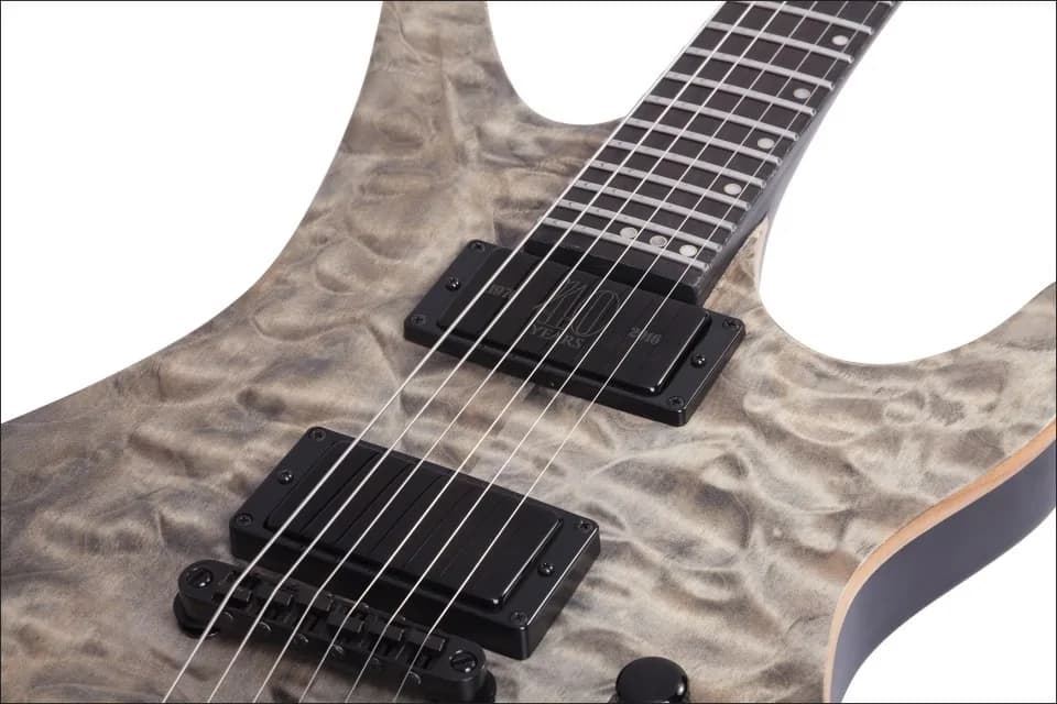 Schecter Avenger 40th Anniversary — photo 5