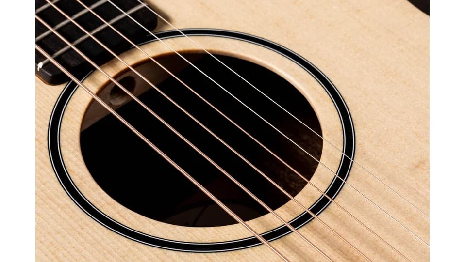 Taylor BT1e — photo 7
