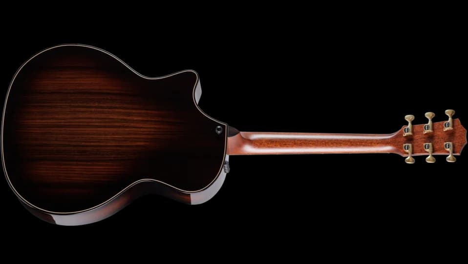 Taylor Builder's Edition 814ce Blacktop — photo 2