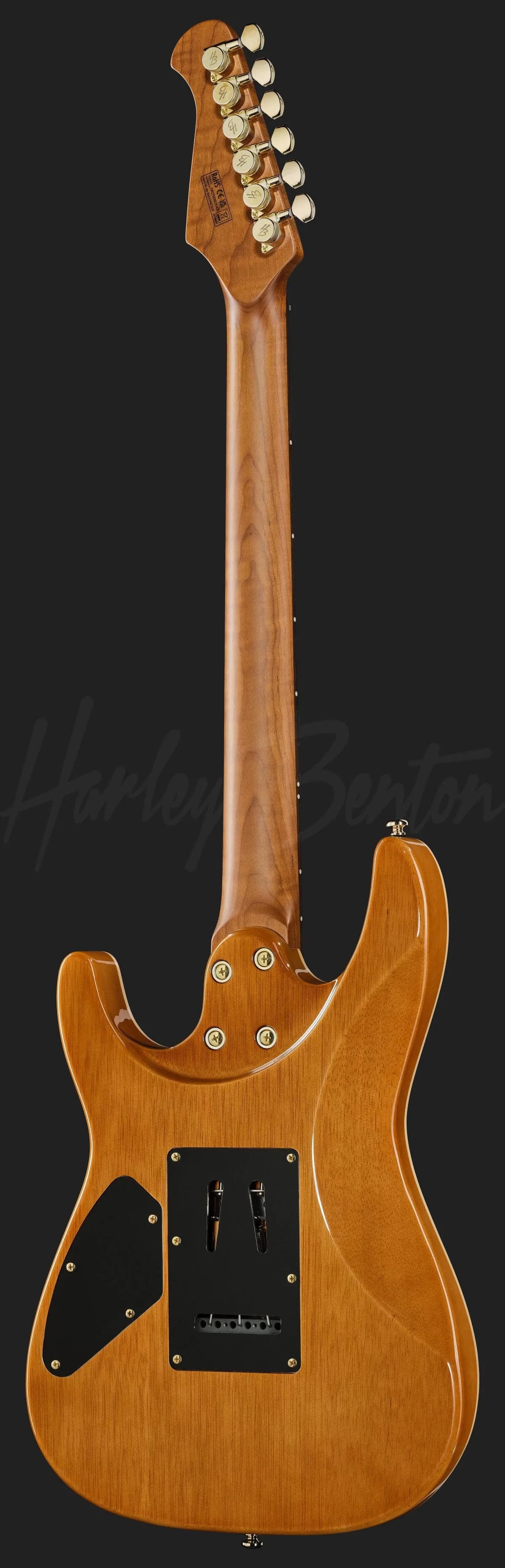 Harley Benton Fusion-IV HH RW PM — photo 3
