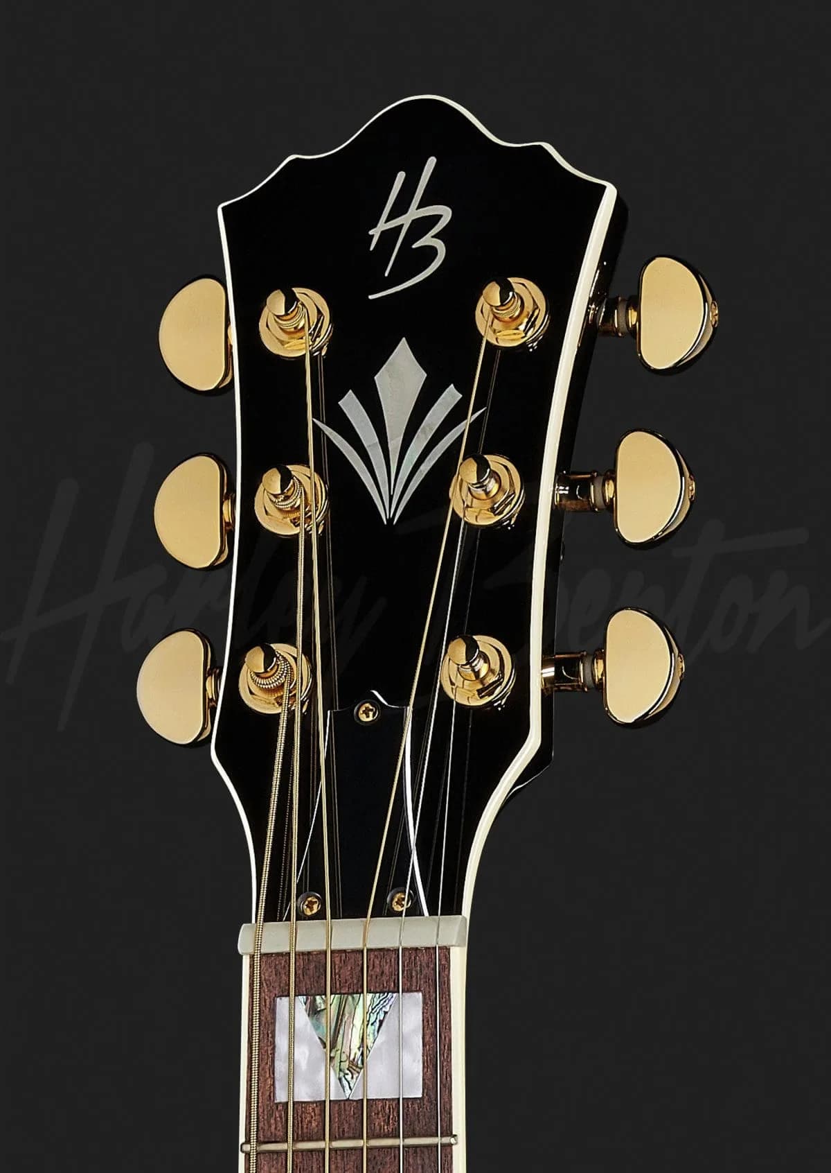 Harley Benton CL King-CE BK — photo 6