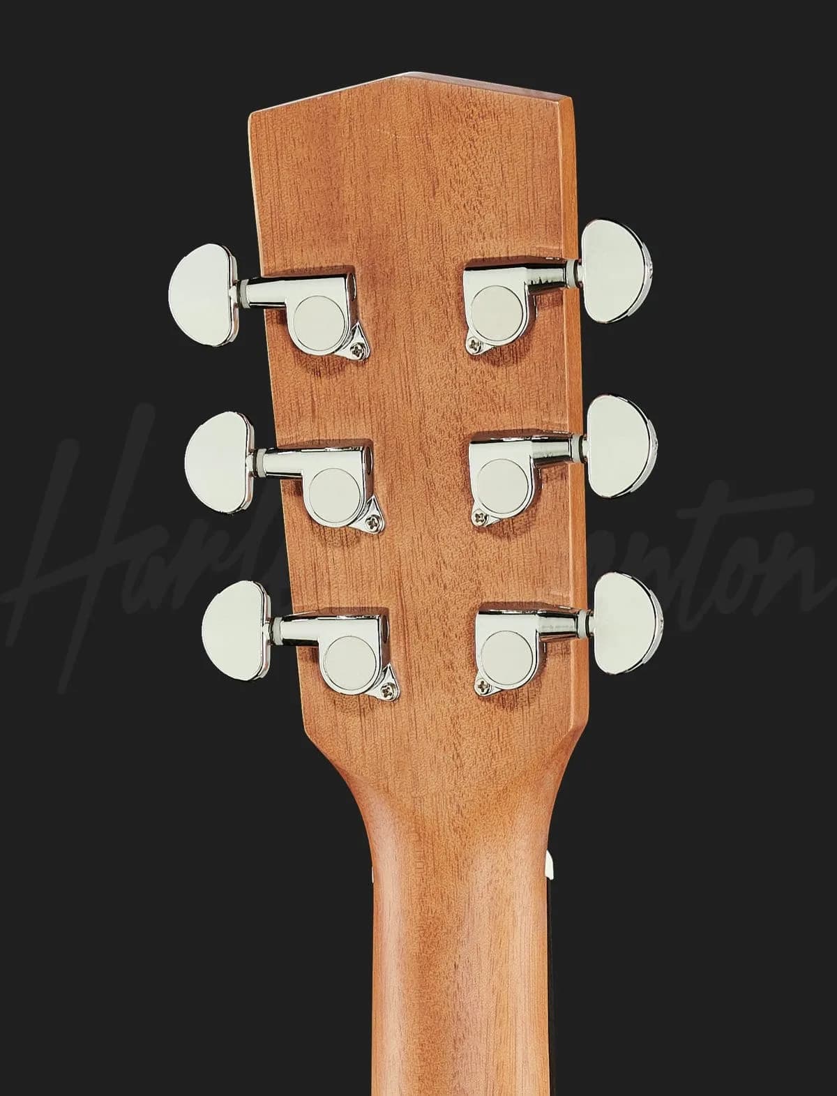 Harley Benton DS-10 Mini — photo 7