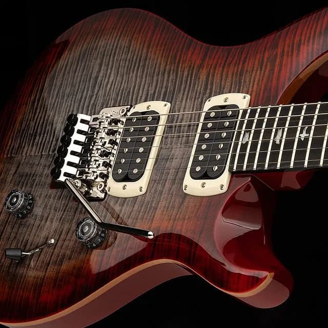 PRS SE Custom 24 "Floyd" — photo 3