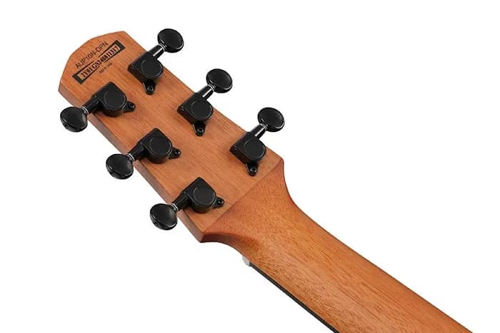 Ibanez AUP10N — photo 3