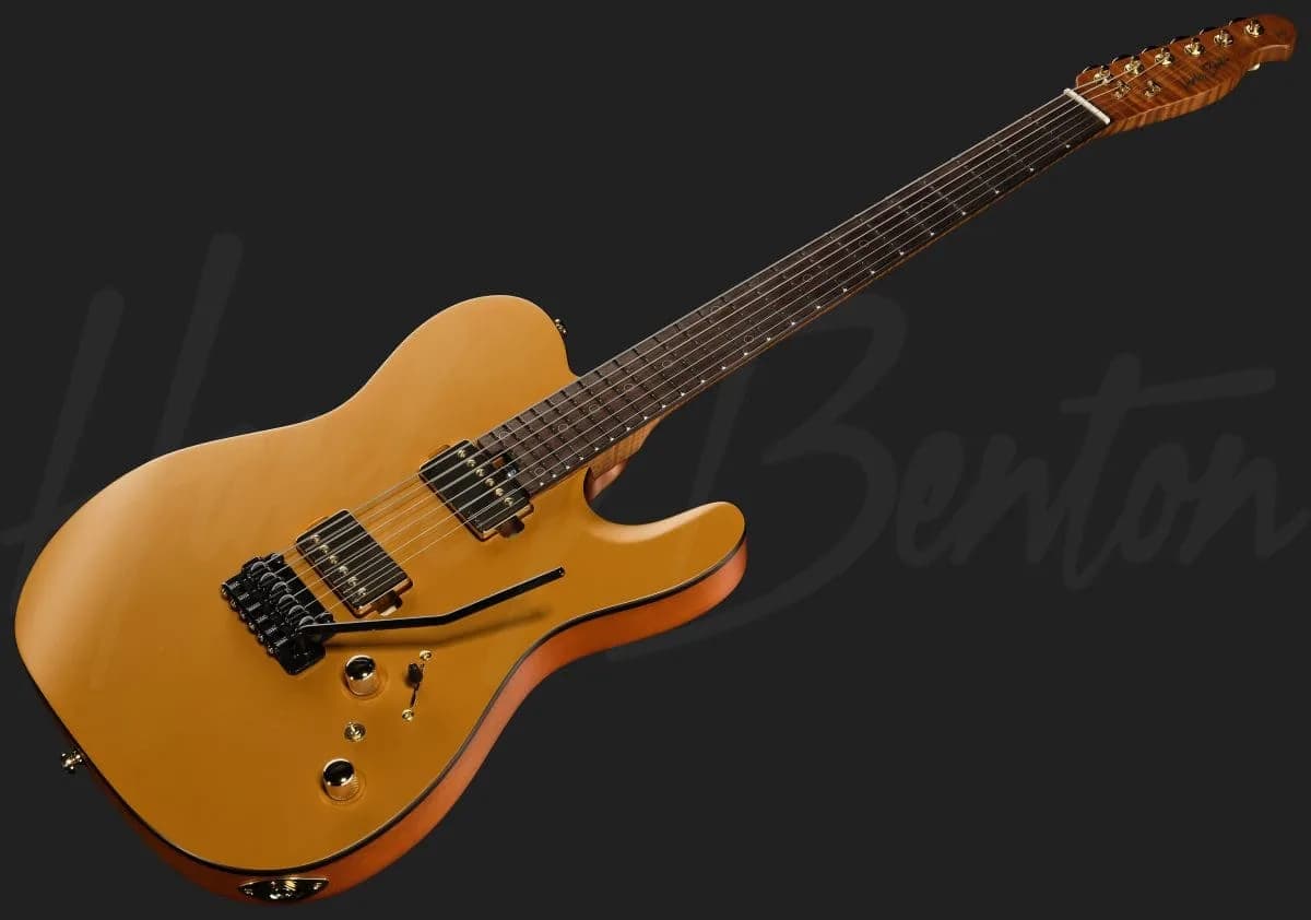 Harley Benton Fusion-T II HH RW SGD — photo 8