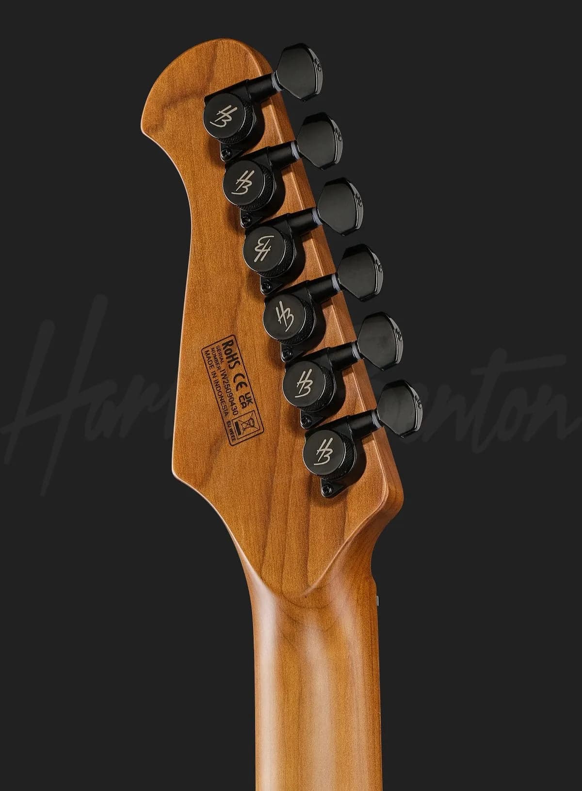 Harley Benton Fusion-IV HSS MN BM — photo 7