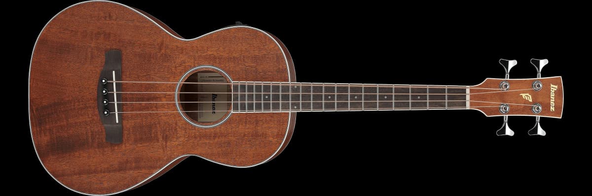 Ibanez PNB14E