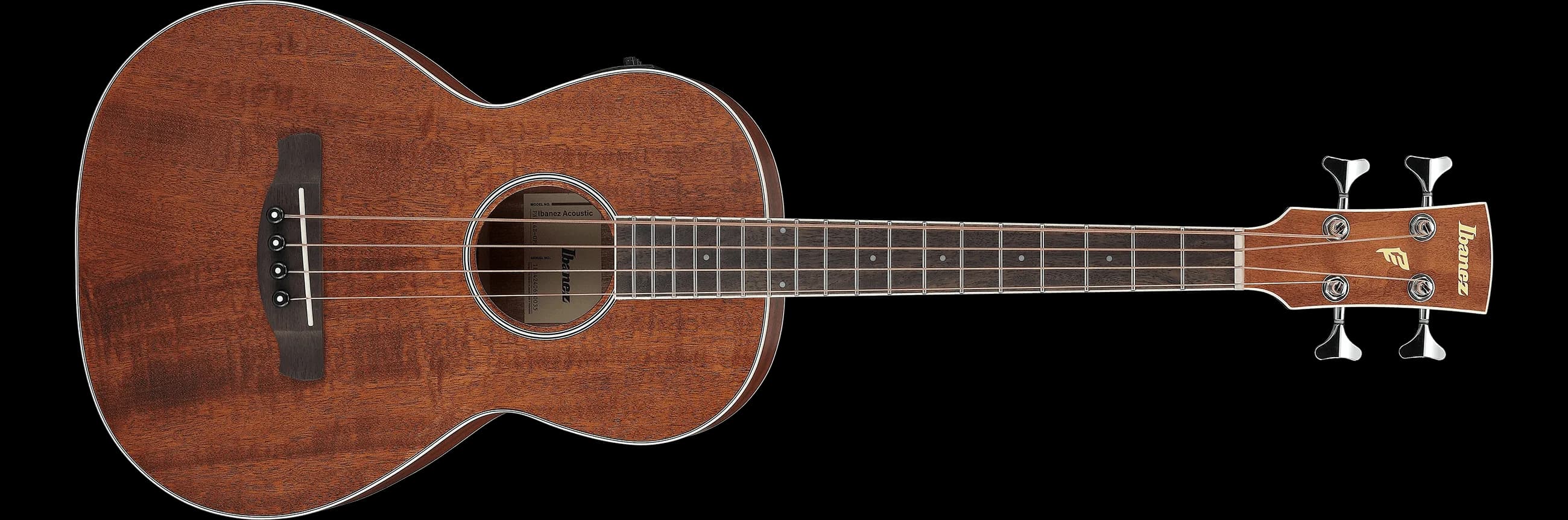 Ibanez PNB14E