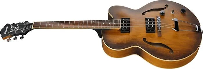 Ibanez AF55 — photo 4