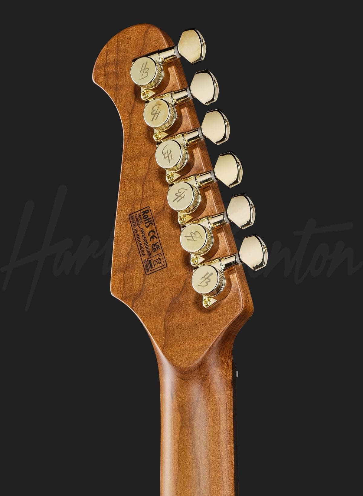 Harley Benton Fusion-IV HH RW PM — photo 7