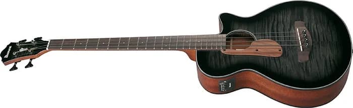 Ibanez AEGB25E — photo 4