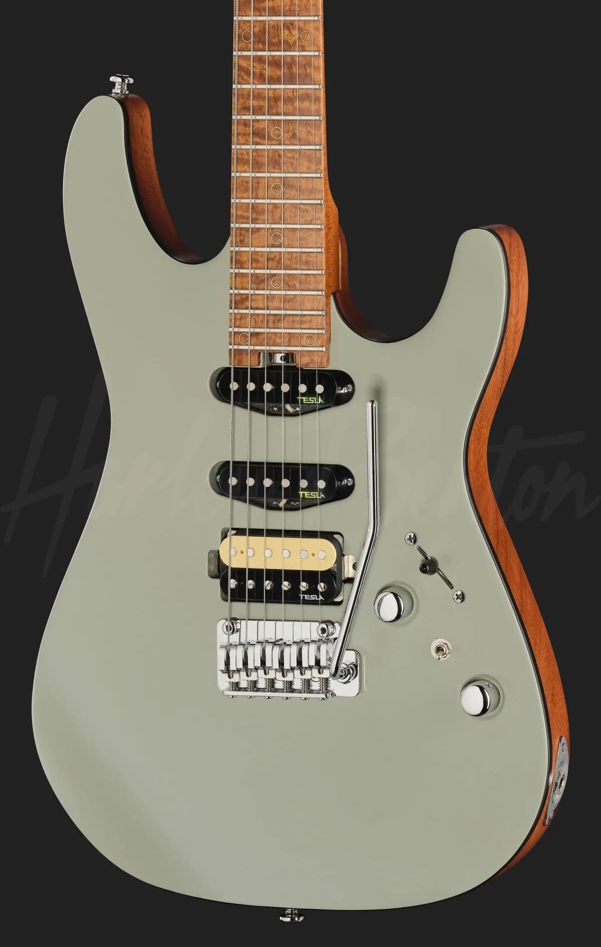 Harley Benton Fusion-IV HSS MN SGR — photo 4
