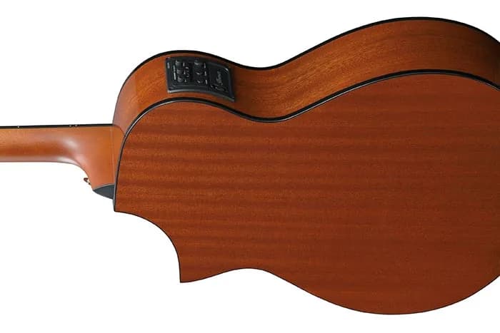 Ibanez AEWC11 — photo 5