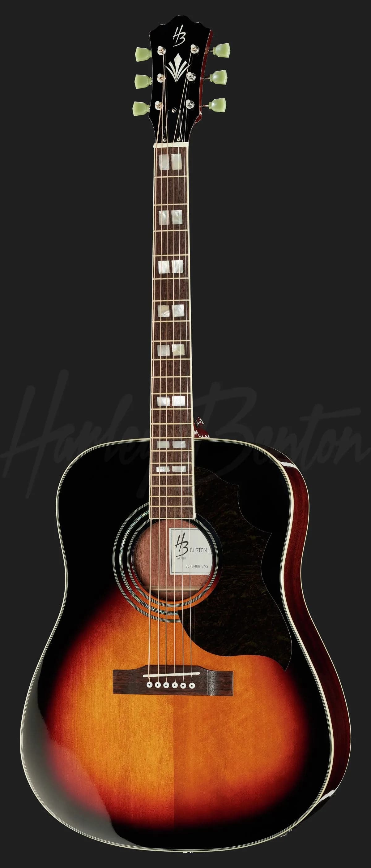 Harley Benton CL Superior-E Pro VS — photo 2