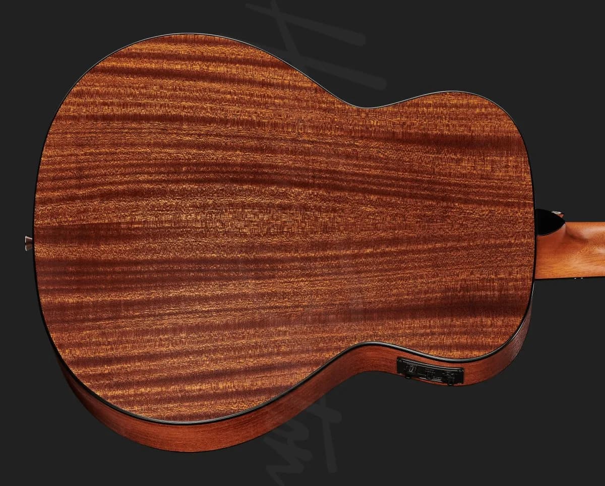 Harley Benton GS-Travel-E Bass Spruce — photo 5