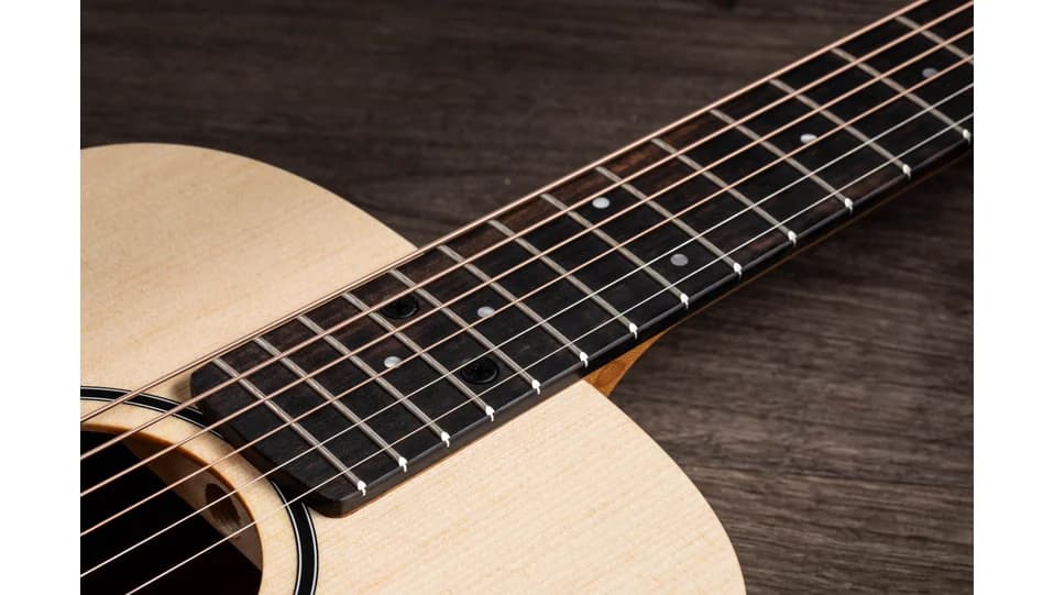 Taylor BT1e — photo 8