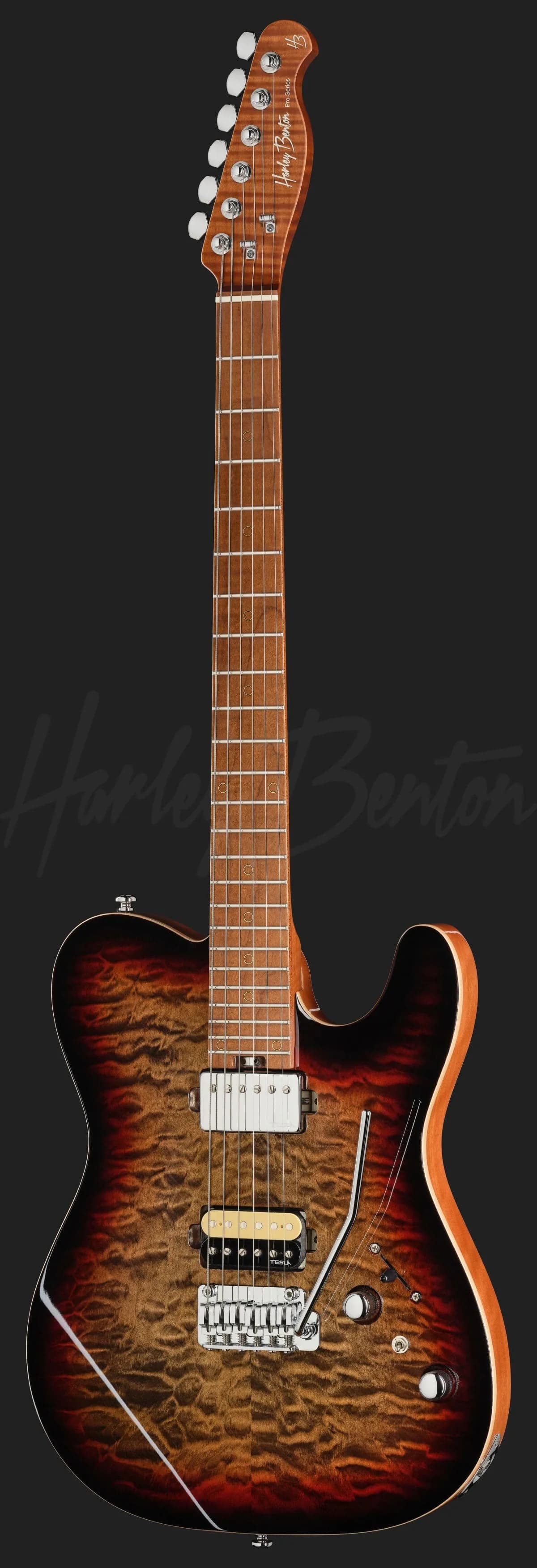 Harley Benton Fusion-T II HH MN QDG — photo 2