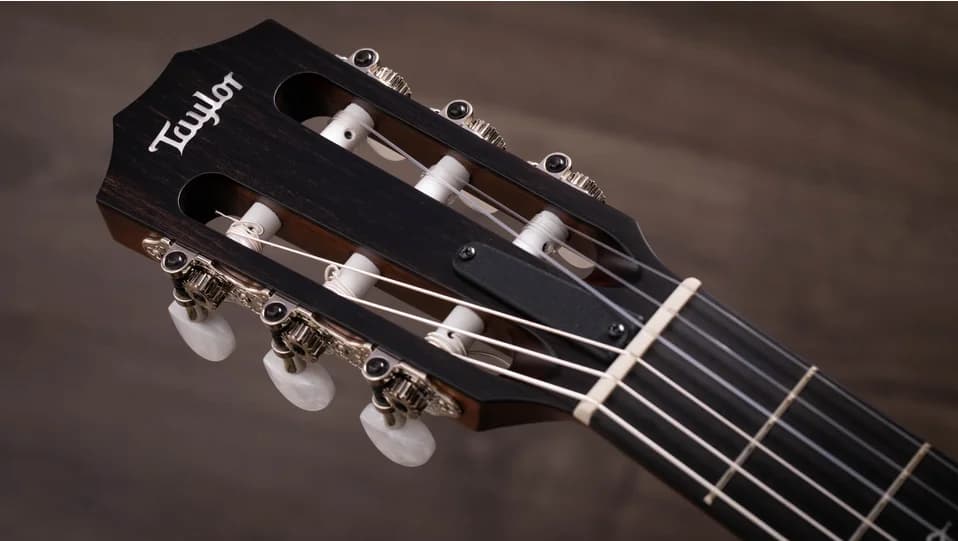 Taylor 314ce-N — photo 8