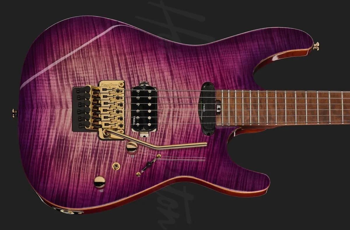 Harley Benton Guitar MAX Fusion Signature PF — photo 4