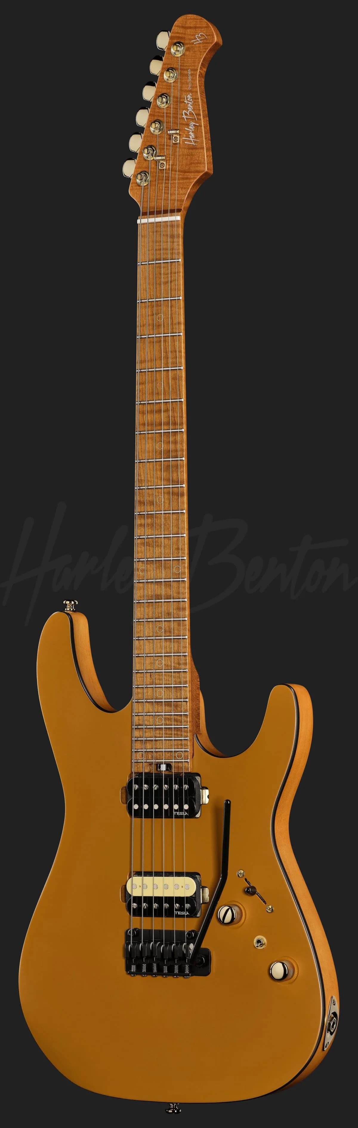 Harley Benton Fusion-IV HH MN SGD — photo 2
