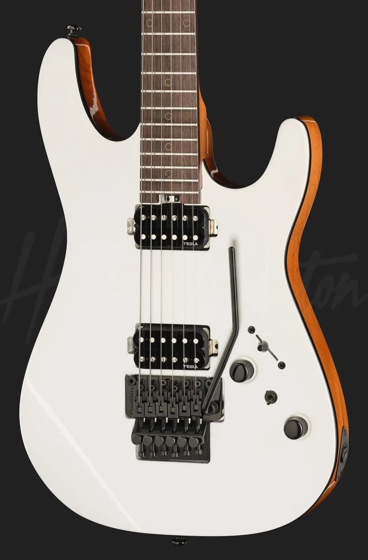 Harley Benton Fusion-IV HH RW FR WM — photo 4