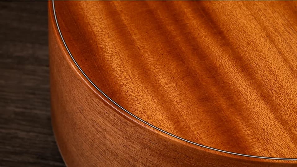 Taylor GS Mini-e Mahogany — photo 4