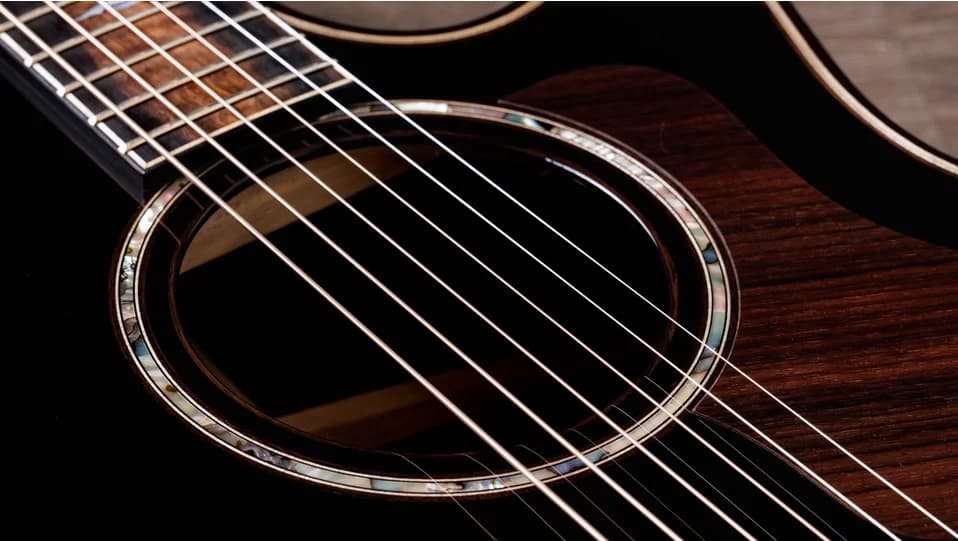 Taylor Builder's Edition 814ce Blacktop — photo 7