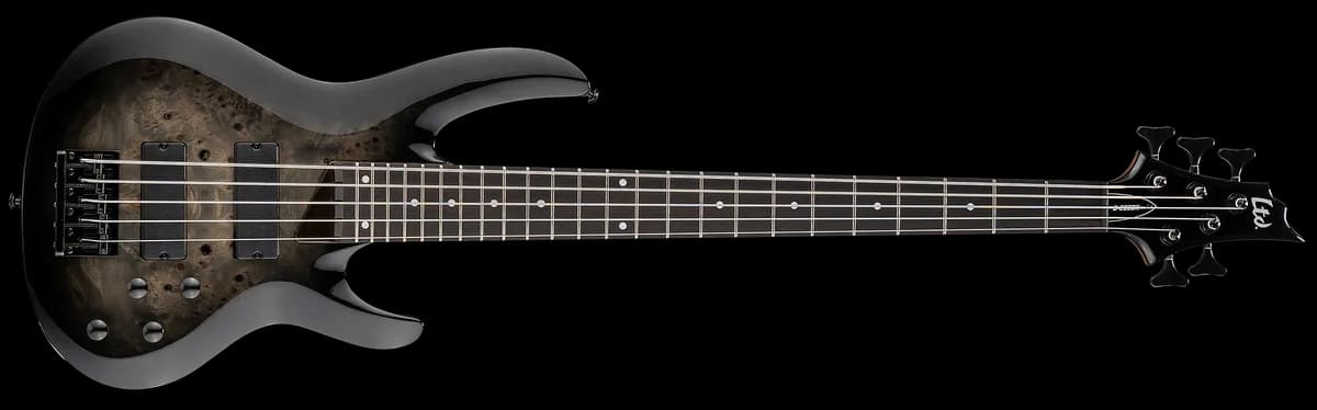 ESP B-205DX Black Burst