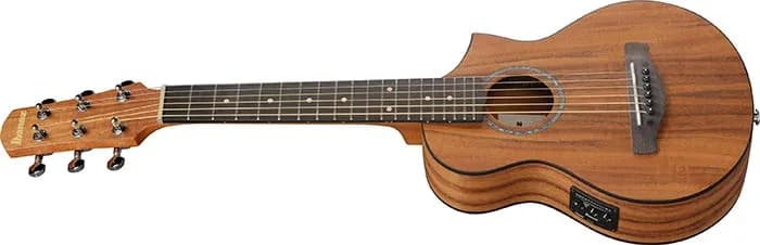 Ibanez EWP12EWB — photo 4