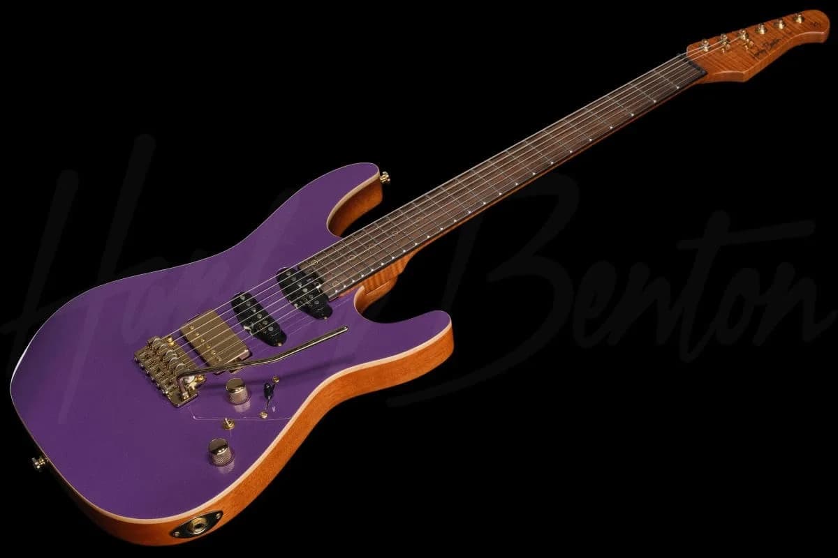 Harley Benton Fusion-IV HSS RW PM — photo 8