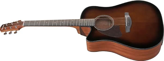 Ibanez AAD51LCE — photo 4