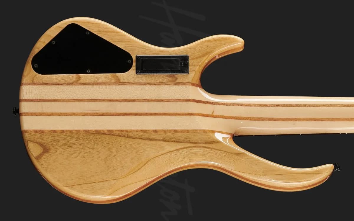 Harley Benton BZ-5000 II NT — photo 5