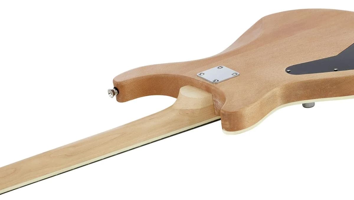 Harley Benton CST-24 DIY KIT — photo 5